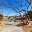더블루체어치과의원 이미지