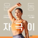 더피티짐 2호점 이미지