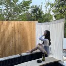 스테이 매일의 아침 이미지