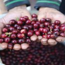 종보농장 네이버블로그