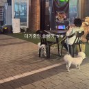 산책하다 들린 인생 이자카야, 고파 인천 갈산점 후기!