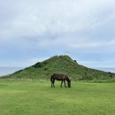 아라주는엄마치킨 - 제주시 동문로 6-5 | 아라주는엄마치킨
