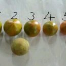 선희농장 이미지