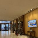 호텔 인스타 | 서울 호캉스 스위스 그랜드호텔 유럽감성 인스타핫플 킹 디럭스룸 숙박 후기