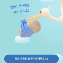 (유)아웃백스테이크하우스코리아수유점 | 임신 초기 가슴 통증, 4주차 증상 입덧 변비