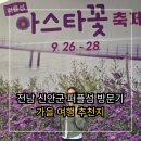 보라(1단지) | 전남 신안 보라섬 여행기 김매금 할머니 이야기와 보랏빛 다리에서의 가을 산책