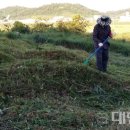 공설묘지1 이미지