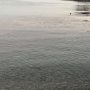 외포일몽 이미지