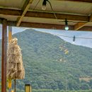 포도나무식당 이미지