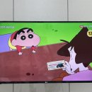 또또시 멍 네이버블로그