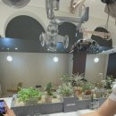 라희헤어 이미지