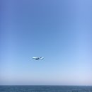 새별김밥 네이버블로그