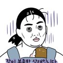 해피베이비 | 감동케어 해피베이비 산후도우미 후기