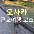 NEW  보석나라 | 일본 오사카 여행 중 하루, 오사카 근교여행으로 다녀온 일본 나라여행 코스 후기
