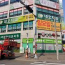 녹색치과의원 이미지