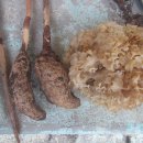 천마지하수 Daum카페