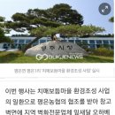 잎새달오하베르데