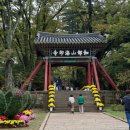 카페피씨후 석장점 | 합천 1박2일여행 기록 / 합천여행 / 해인사 / 스밀다 / 합천신소양체육공원 / 합천H글램핑 / 합천...