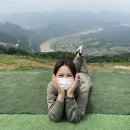 블루카멜비어펍