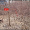 오금2리 마을회관 이미지