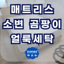 쇼파매트리스카페트청소화이트클린 이미지