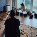 *제주 싱잉볼 명상 * 싱잉볼 테라피 후기 * 제주여행 힐링포인트 *