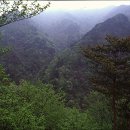 [실사모20차" 백 덕 산 " 정기산행] 안내 및 산행 지도 이미지