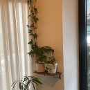 친구 | 탄방동 트리니티 비스트로 스파게티 파스타 전문점 친구 모임 후기