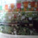 김종구농장 이미지