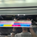 화이트잉크
