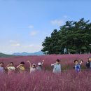 조마초등학교 이미지