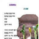 삼월 이미지