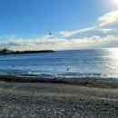 부기1리 이미지