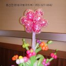풍선천국 Daum카페