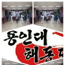 용인대 해동 태권도장 이미지
