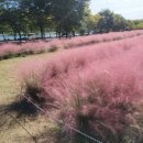 강동조정경기장입구 이미지