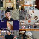 개와늑대의시간 스포츠경향