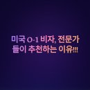 O-1 티스토리