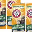지금머랭