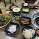 도니우니