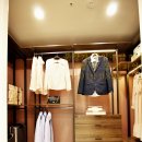 리젤펠리스 이미지