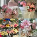 이마트24 대전선화행복점 | [대전 둔산동 꽃집] 고급스럽고 아름다운 감성 꽃집 ‘오월애플라워’ 내돈내산 후기