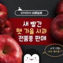 펭귄상회 이미지