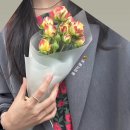 스위트드림플라워 이미지