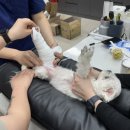 백암동물병원 이미지