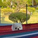 갈골펜션 이미지