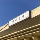 경주여행 기념품 경주쿠키 빵순이의 솔직후기