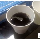 피자알볼로 구운탑동점 이미지