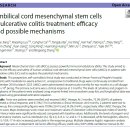 미다스 메디칼 이미지