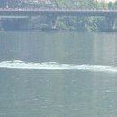 2015 화천산천어 뮤직페스티벌 이미지